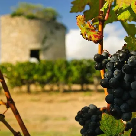 Otonneauxstress - Le Pecheur Saint-Vivien-de-Médoc