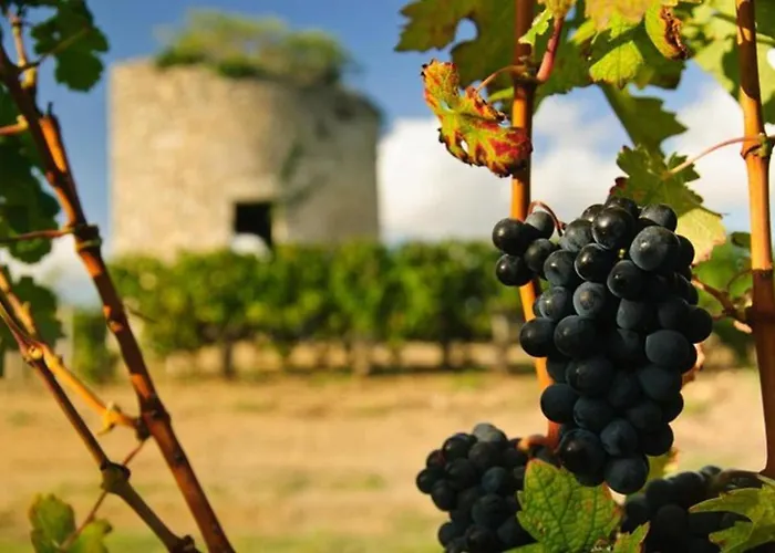 بيت للعطل Otonneauxstress - Le Pecheur